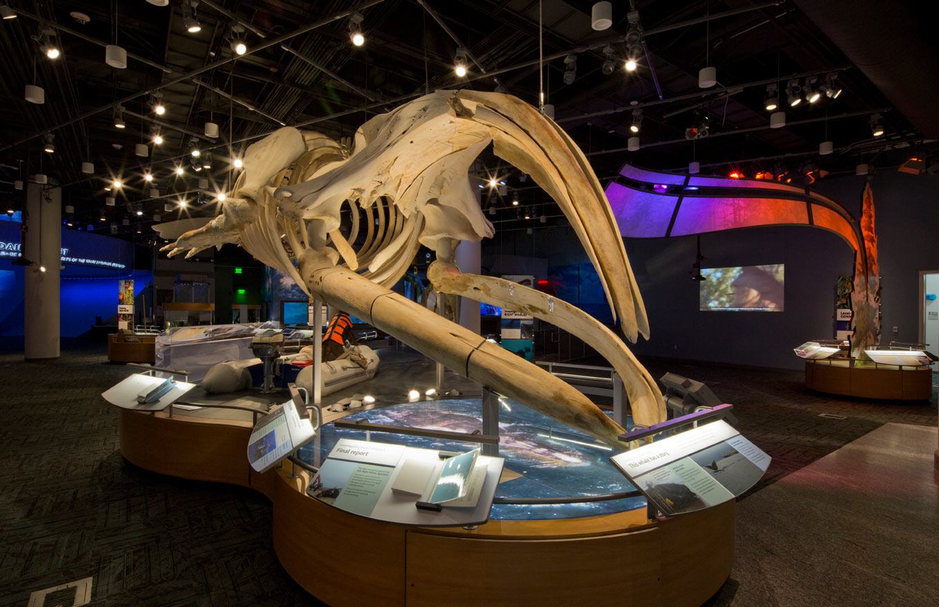 Nature Research Center North Carolina Museum Of Natural Sciences north-carolina-museum-of-natural-sciences