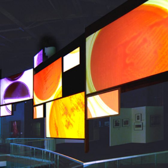 Centers for Disease Control and Prevention