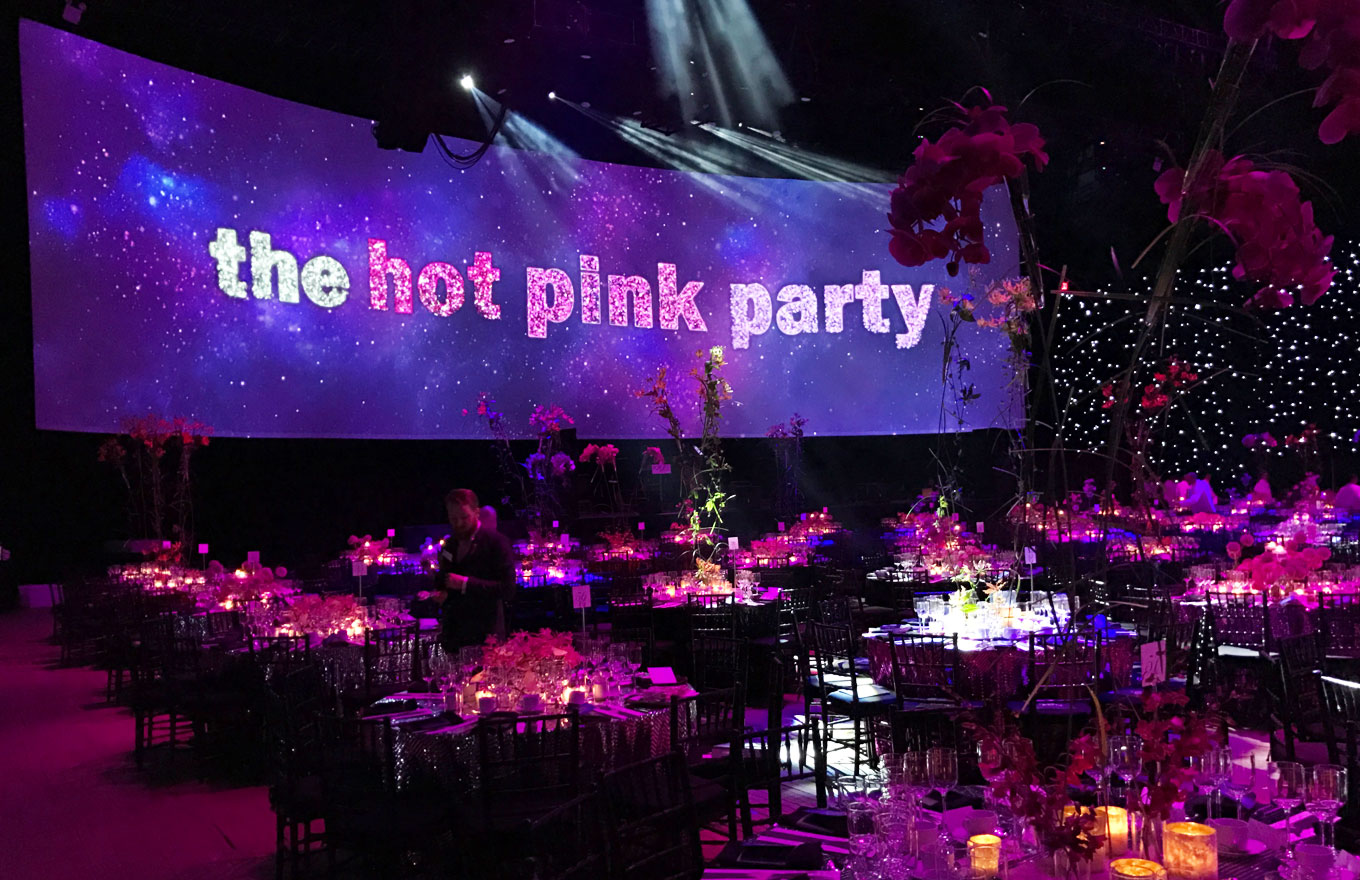 Bcrf Hot Pink Party Hot Sex Picture