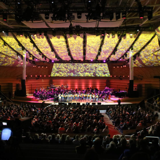 Earth’s Call Concert